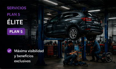 Servicios - Elite