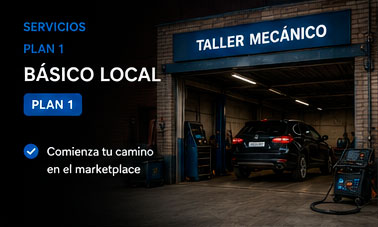 Servicios - Basico Local